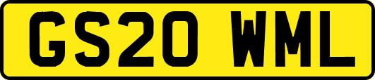 GS20WML