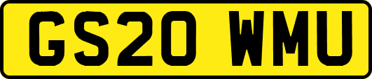 GS20WMU