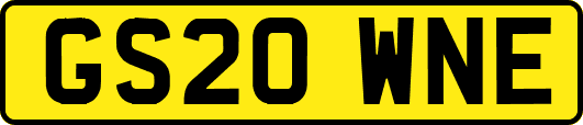 GS20WNE