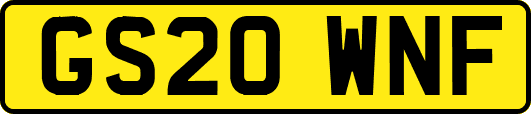GS20WNF