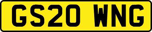 GS20WNG