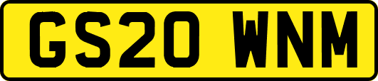 GS20WNM