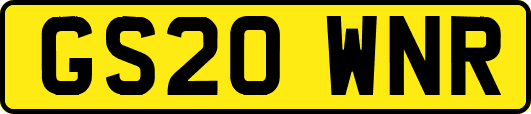 GS20WNR