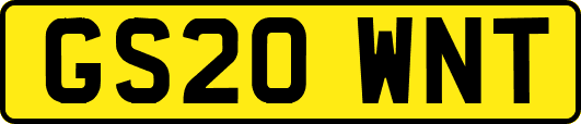GS20WNT