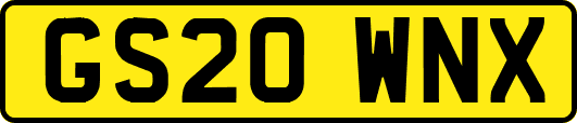 GS20WNX