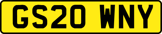 GS20WNY