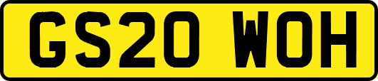 GS20WOH