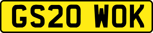 GS20WOK