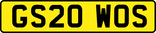 GS20WOS