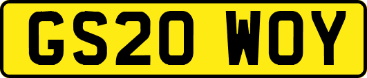GS20WOY
