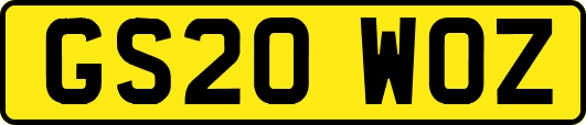 GS20WOZ