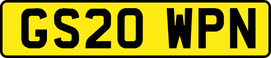 GS20WPN