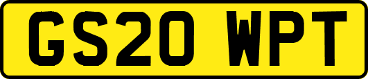GS20WPT