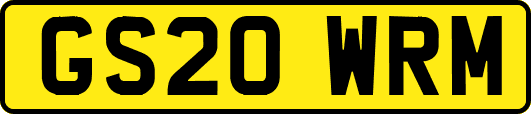 GS20WRM