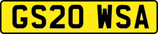 GS20WSA