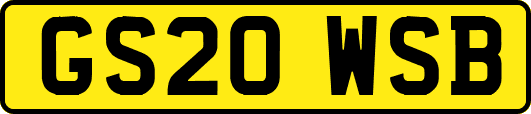GS20WSB