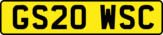 GS20WSC