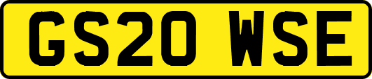 GS20WSE
