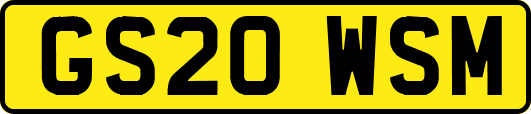 GS20WSM