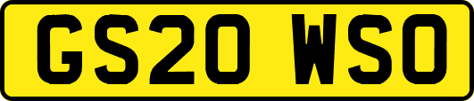 GS20WSO