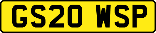 GS20WSP