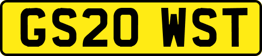 GS20WST