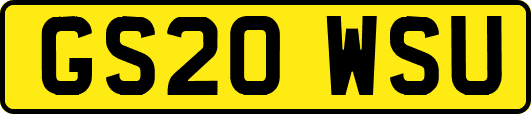 GS20WSU