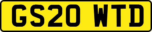 GS20WTD