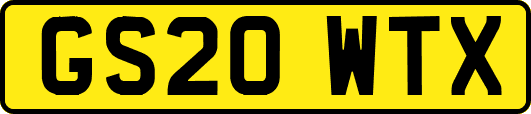 GS20WTX