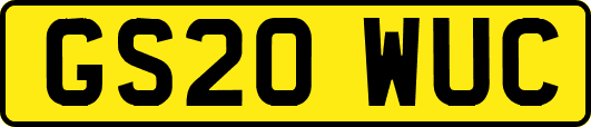 GS20WUC