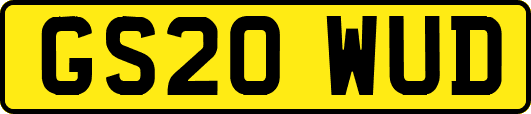 GS20WUD