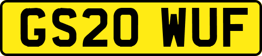 GS20WUF