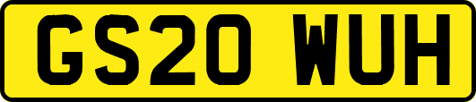 GS20WUH