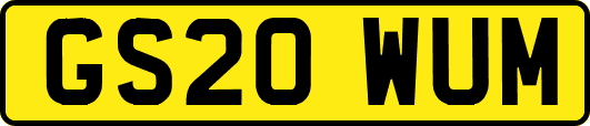 GS20WUM