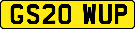 GS20WUP