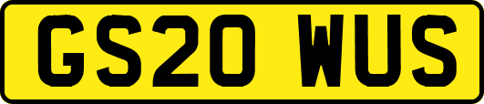 GS20WUS