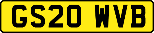GS20WVB