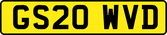 GS20WVD