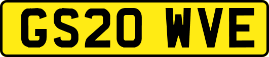 GS20WVE