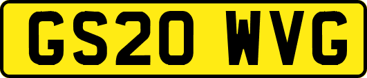 GS20WVG
