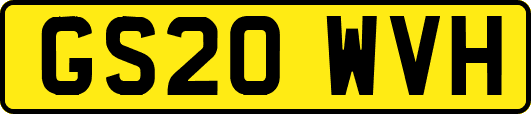 GS20WVH