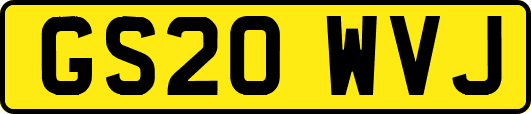 GS20WVJ