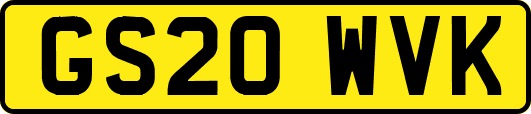 GS20WVK