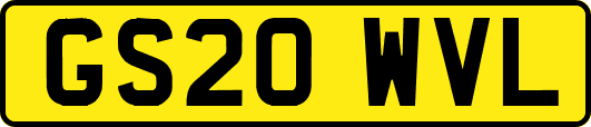 GS20WVL
