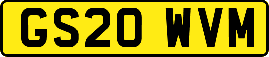 GS20WVM