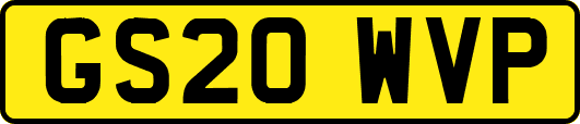 GS20WVP