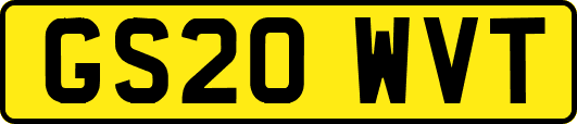 GS20WVT