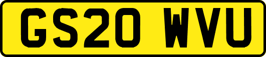 GS20WVU