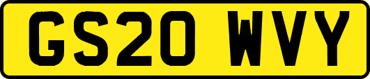 GS20WVY