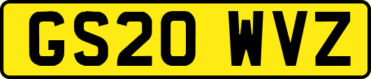 GS20WVZ